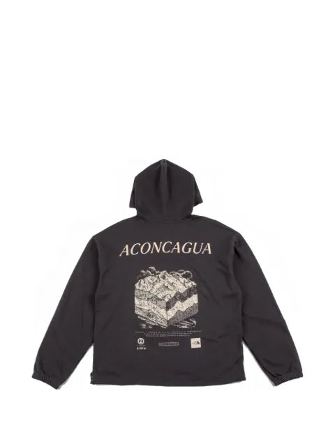 The North Face Places We Love hoodie