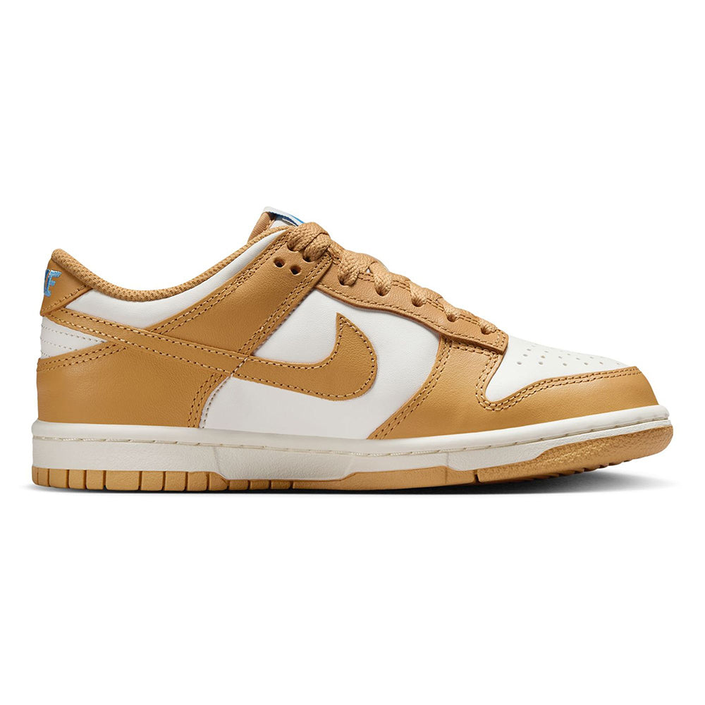 Big Kid's Nike Dunk Low Honeycomb/Honeycomb Sail (FB9109 700)